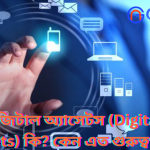 ডিজিটাল অ্যাসেটস(Digital Assets)